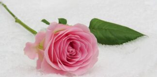 Kto zaprasza na komunię dziecko czy rodzice? Kto zaprasza na komunię dziecko czy rodzice?