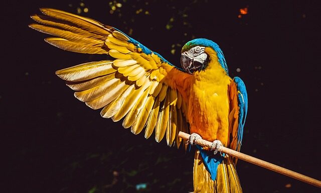 Po co obserwujemy niebo?