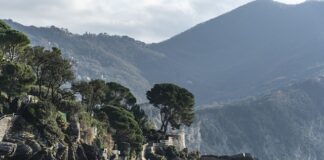 Ile kosztuje tani teleskop?