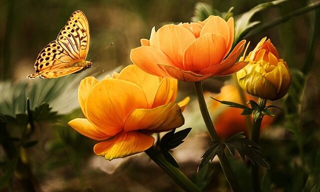 Czy mycie zębów raz dziennie wystarczy?