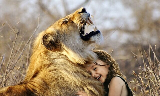 Jakie gry logiczne polecacie? Jakie gry logiczne polecacie?