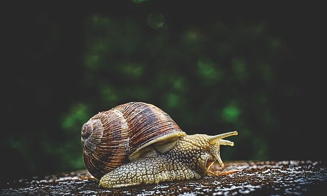 Jaki jest śluz na początku ciąży?