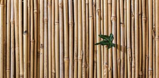 Co to jest sztywna os? Co to jest sztywna os?