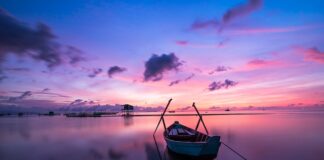 Jaki kolor walizki wybrać?