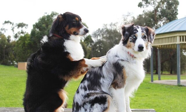 Kiedy należy wycofać z użytkowania sprzęt chroniący przed upadkiem z wysokości?