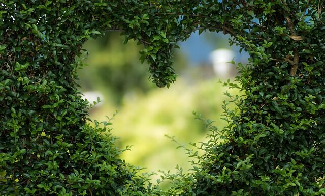 Czy zielona herbata w saszetkach jest zdrowa?