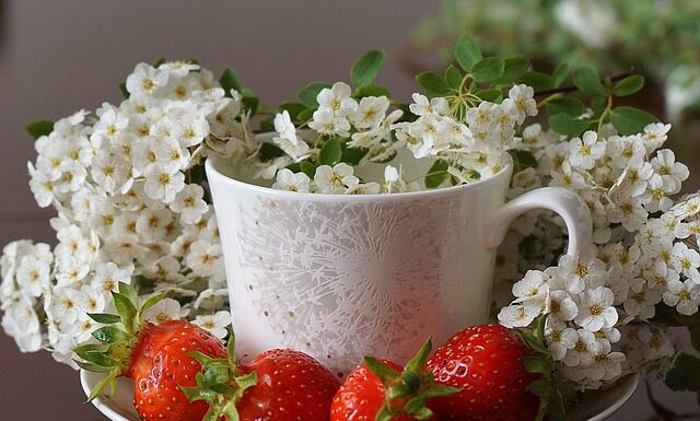 Jaki pierwszy talerzyk dla dziecka?