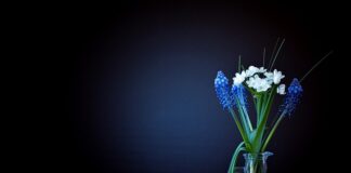 Ile ważą wasze 10 miesięczne dzieci?