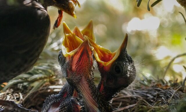 Jak karmić dziecko które jeszcze nie siedzi?