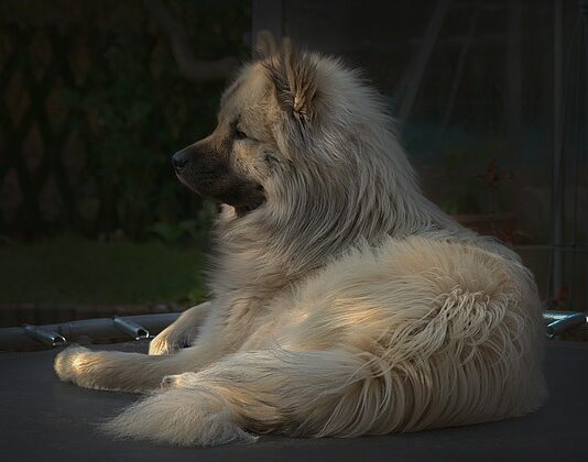 Kto nie może ćwiczyć na trampolinie?
