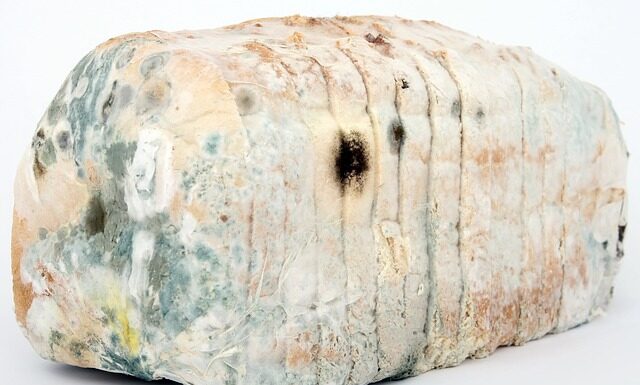 Jak dezynfekować szczotki i grzebienie? Jak dezynfekować szczotki i grzebienie?