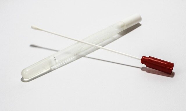 Jak pobrać szablony do Worda?