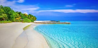 Na co pomaga ciepły termofor? Na co pomaga ciepły termofor?