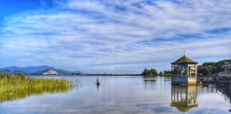 Czy Puccini to dobra marka?