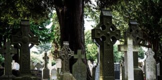 Co zamiast wanienki?