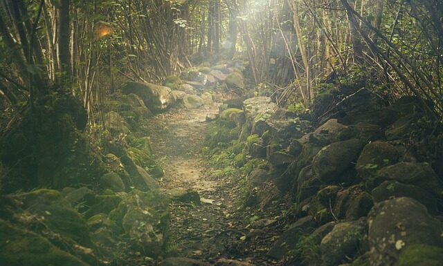 Co zabrać ze sobą na wycieczkę szkolną?