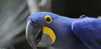 Jaka jest największa wanienka dla dziecka?