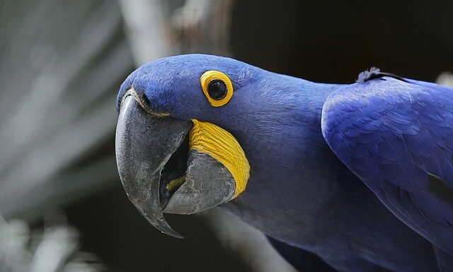 Jaka jest największa wanienka dla dziecka?