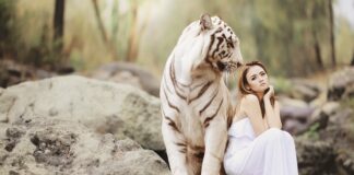 Jakie są środki ochrony indywidualnej?