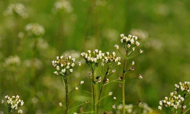 Jak Przypiąć torbę do wózka? Jak Przypiąć torbę do wózka?