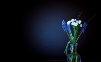 Kiedy dziecko waży 11 kg?