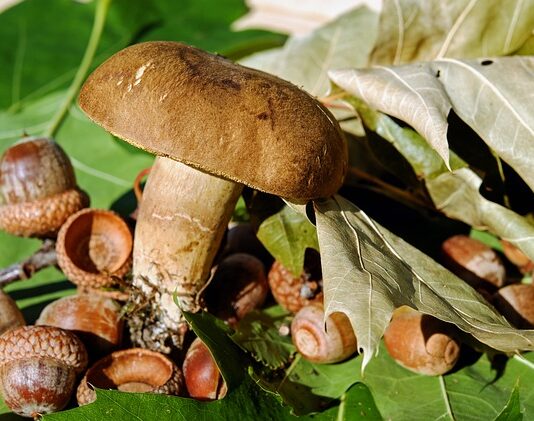 Na co kleić filc? Na co kleić filc?