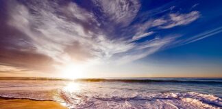 Czy picie herbaty w torebkach jest zdrowe? Czy picie herbaty w torebkach jest zdrowe?