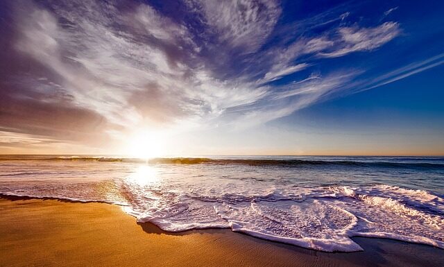 Czy picie herbaty w torebkach jest zdrowe?