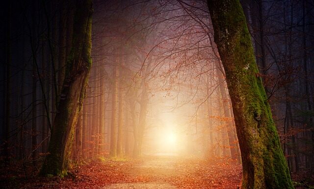 Dlaczego dziecko nie chce chodzić w butach?