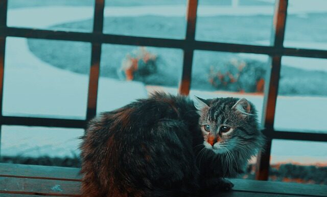 Co do przykrycia noworodka?