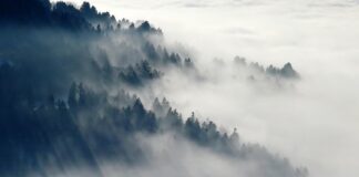 Jak jeździć w terenie 4x4?