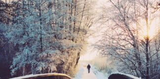 Jak jest po angielsku dni tygodnia?