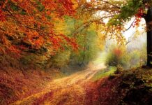 Ile trwa rok na danej planecie?