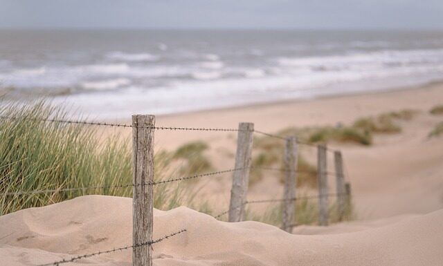 Czy warto wysyłać dzieci na wycieczki szkolne?