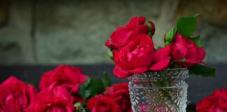 Do jakiego pojemnika wyrzucić butelkę po oleju? Do jakiego pojemnika wyrzucić butelkę po oleju?