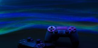 Jak zapanować nad psem na spacerze? Jak zapanować nad psem na spacerze?