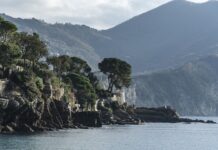 Ile kosztuje raca dymna?