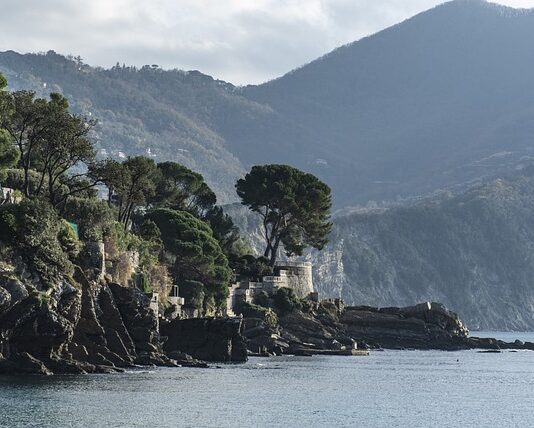 Ile kosztuje raca dymna?