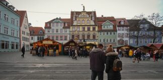 Gdzie wyrzucić zgniłe jabłka? Gdzie wyrzucić zgniłe jabłka?