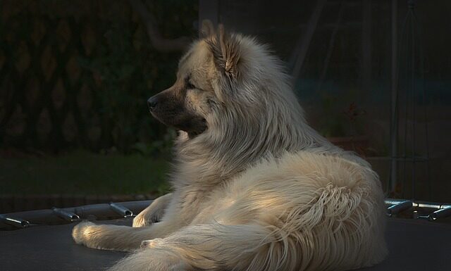 Czy skakanie na trampolinie obciąża stawy?