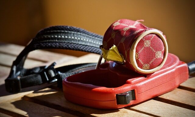 Jaki śliniak na początek? Jaki śliniak na początek?